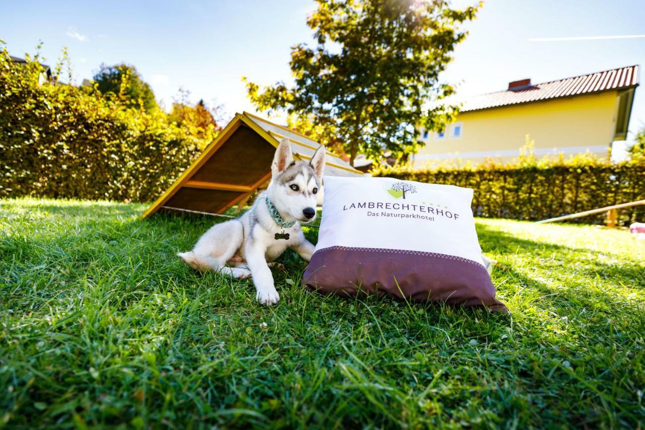 Lambrechterhof - Das Naturparkhotel Sankt Lambrecht Esterno foto
